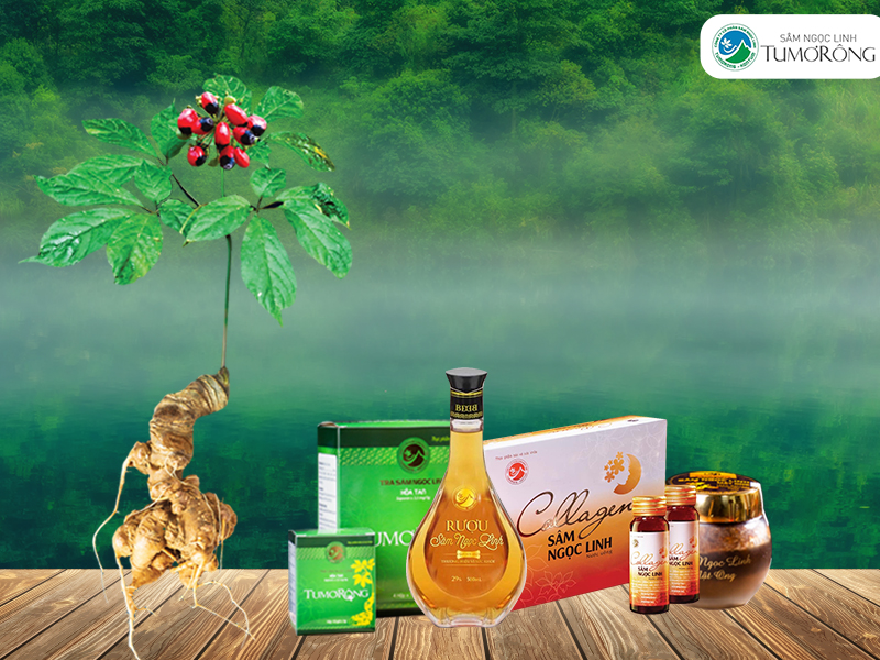 sản phẩm định hướng Công ty Cổ phần Sâm Ngọc Linh Tu Mơ Rông Kon Tum