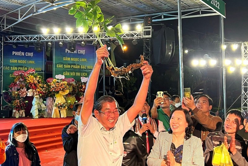 Kon Tum: Đấu giá thành công củ sâm Ngọc Linh 50 năm năm tuổi