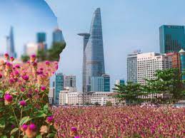 Giới trẻ TP.HCM rộn ràng rủ nhau 'check-in' cánh đồng hoa tím mộng